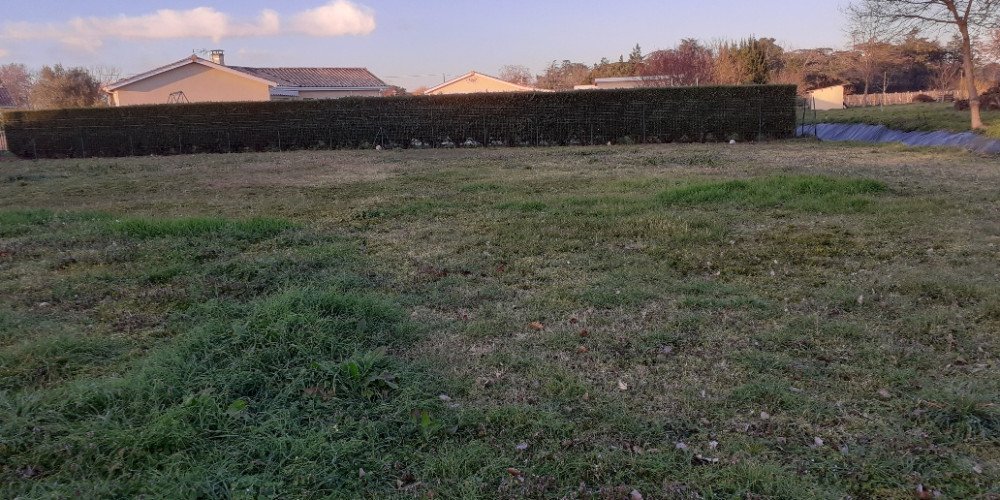 terrain à ST MAGNE DE CASTILLON (33350)