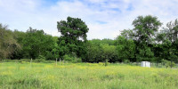 terrain à IZON (33450)