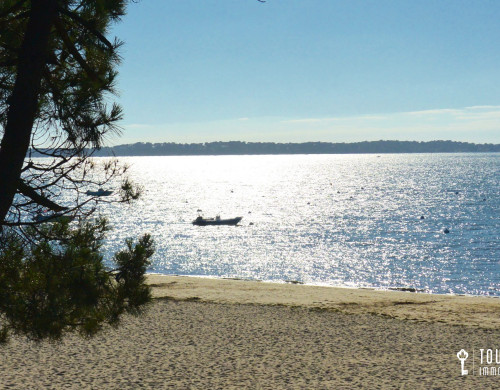 appartement  ARCACHON